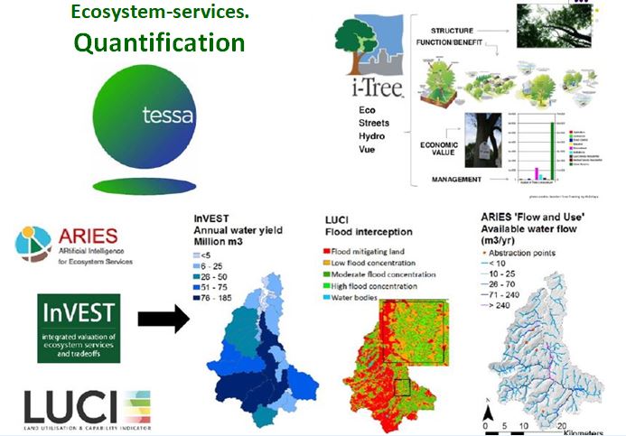 quantification